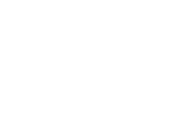 smuttlewerk interactive